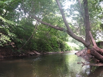 Stream